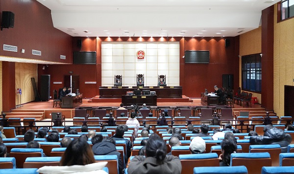 【“两长”同庭履职】由龙山县人民检察院依法提起公诉的向某某、向某受贿案一审公开开庭